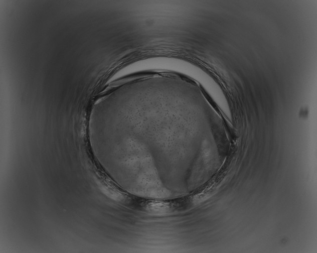 X0000089750413200707121346