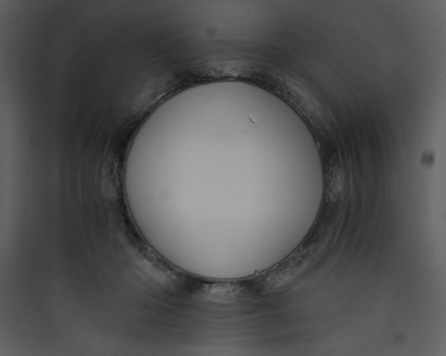 X0000089750414200707121345