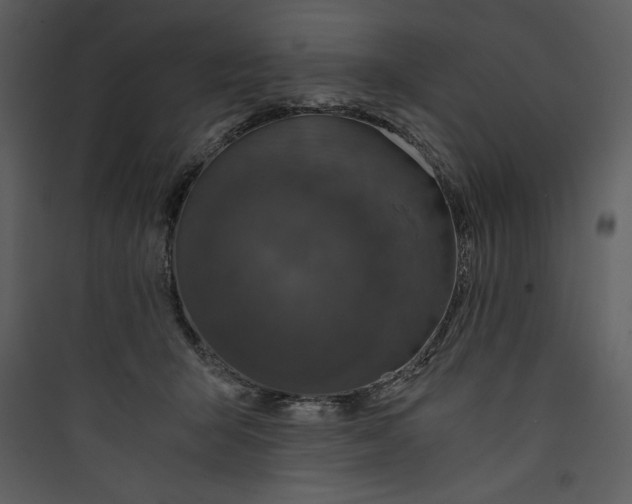 X0000089750415200707121345