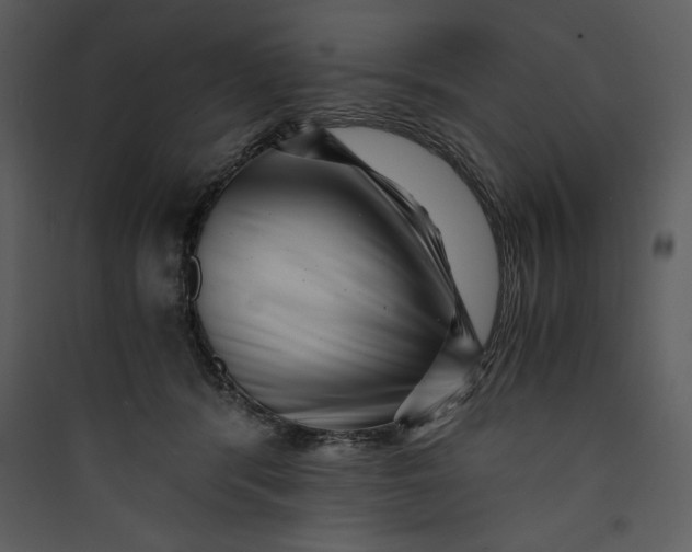 X0000089750416200707121345