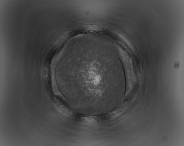 X0000089750417200707121345