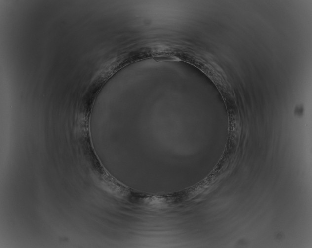 X0000089750419200707121345