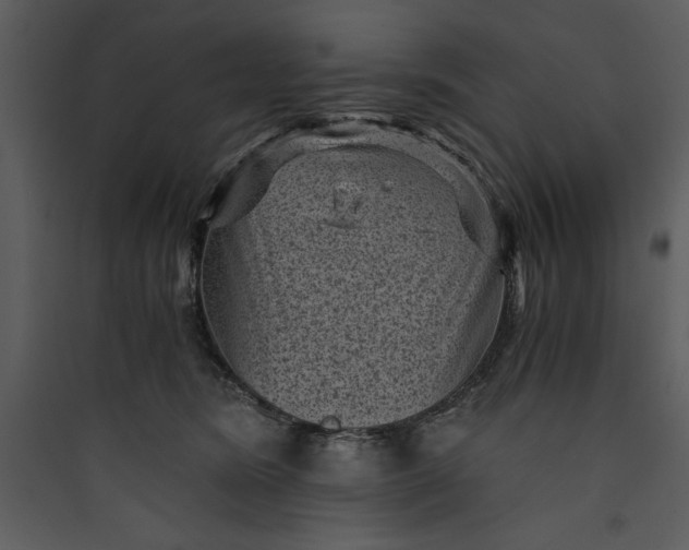 X0000089750420200707121345