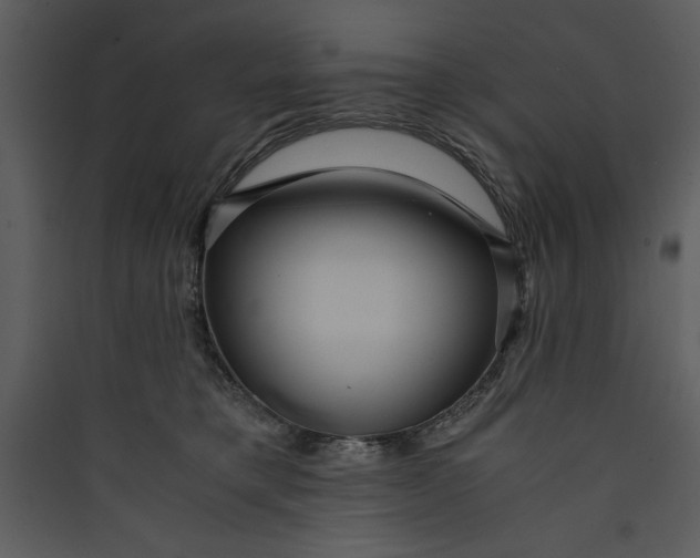 X0000089750421200707121345