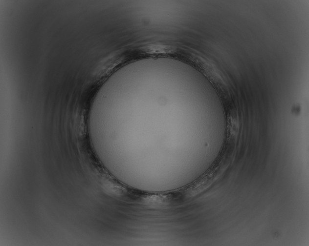 X0000089750422200707121345