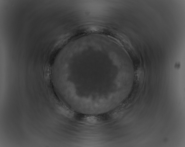 X0000089750423200707121345