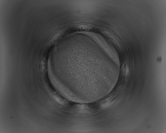 X0000089750424200707121345