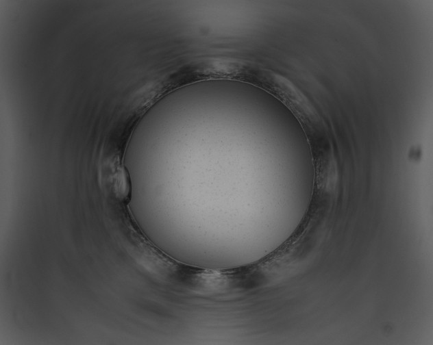 X0000089750425200707121345