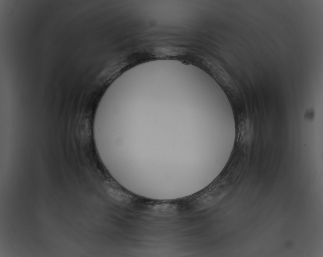 X0000089750426200707121345