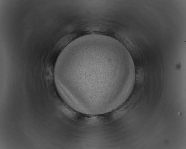 X0000089750430200707121345