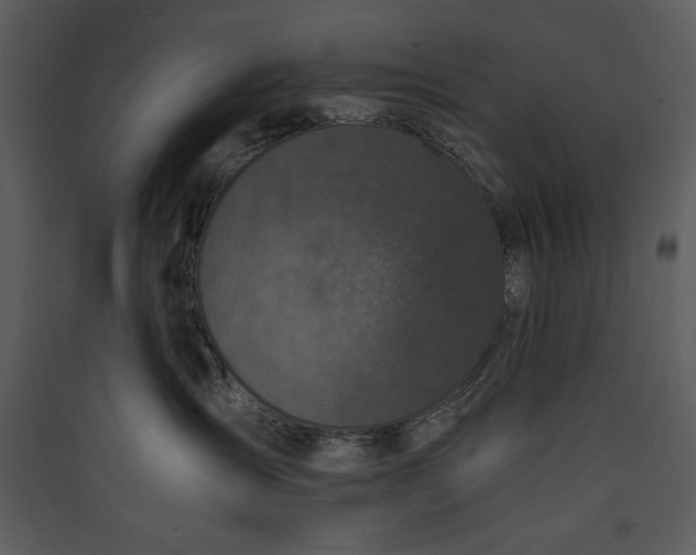 X0000089750431200707121345