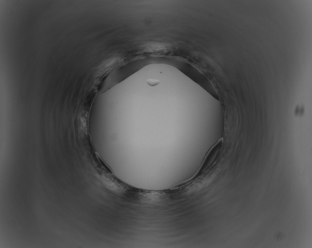 X0000089750432200707121345