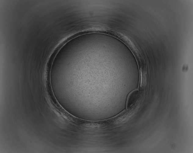 X0000089750435200707121345