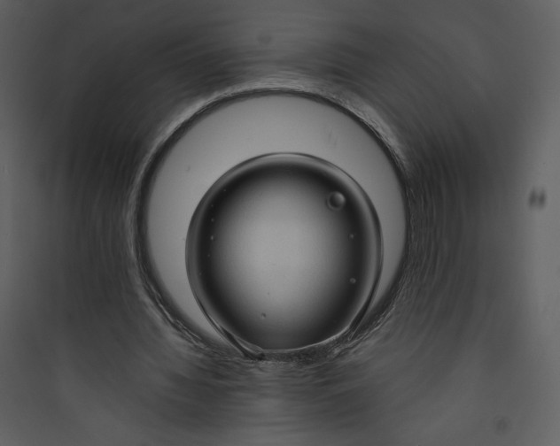 X0000089750436200707121345