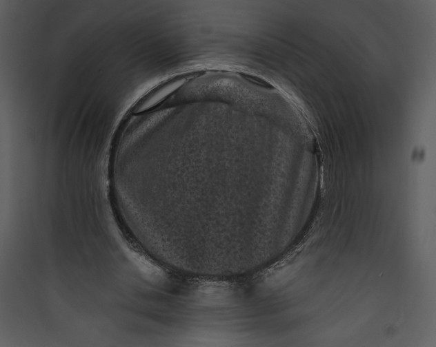 X0000089750438200707121345