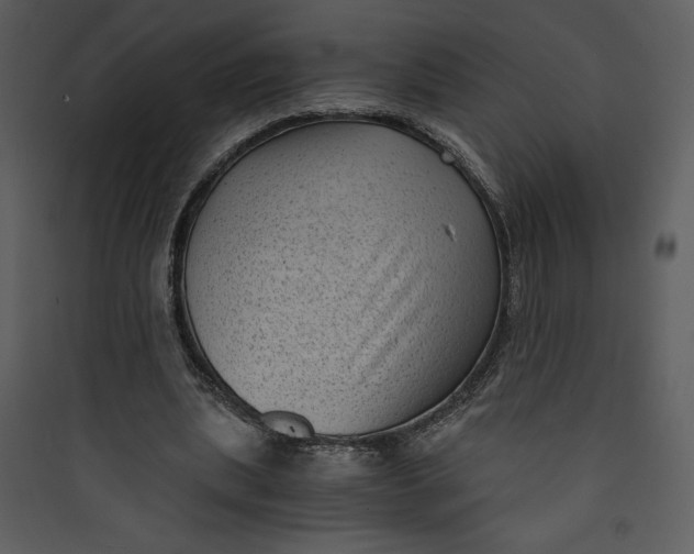 X0000089750439200707121345