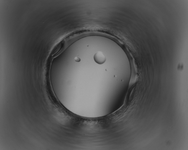 X0000089750440200707121345