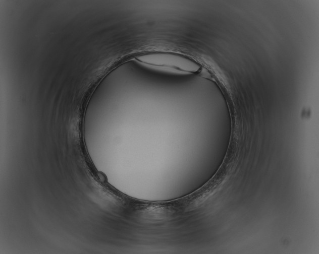 X0000089750441200707121345