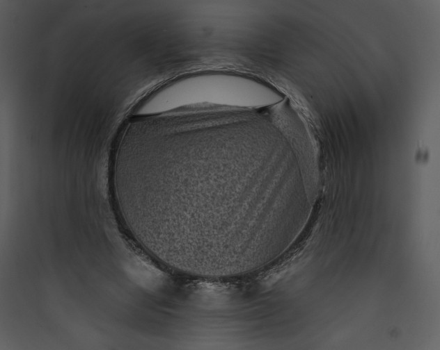 X0000089750442200707121345