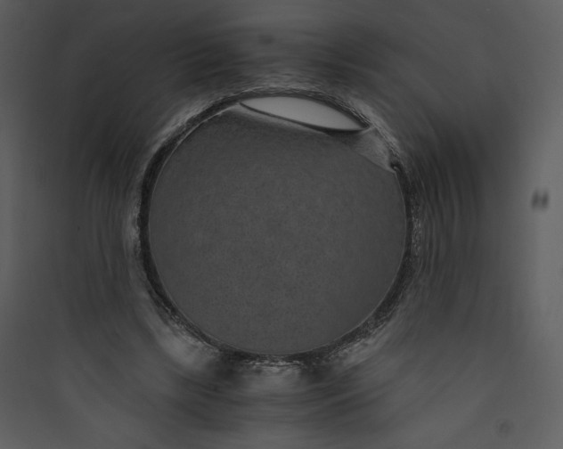 X0000089750443200707121345