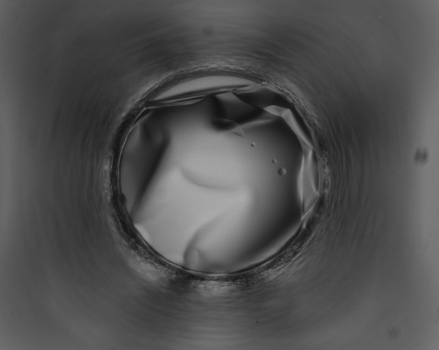 X0000089750444200707121345