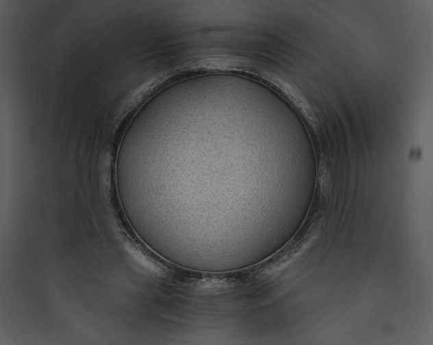 X0000089750445200707121345