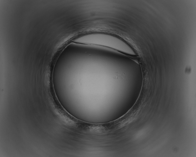 X0000089750446200707121345