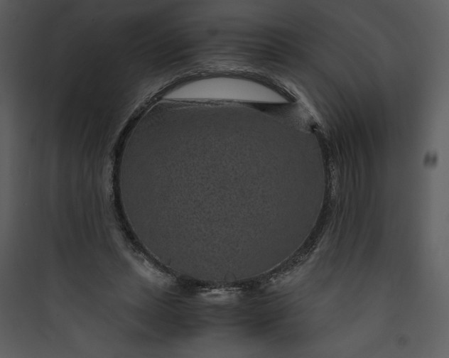 X0000089750447200707121345