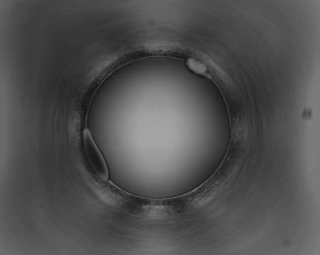 X0000089750448200707121345