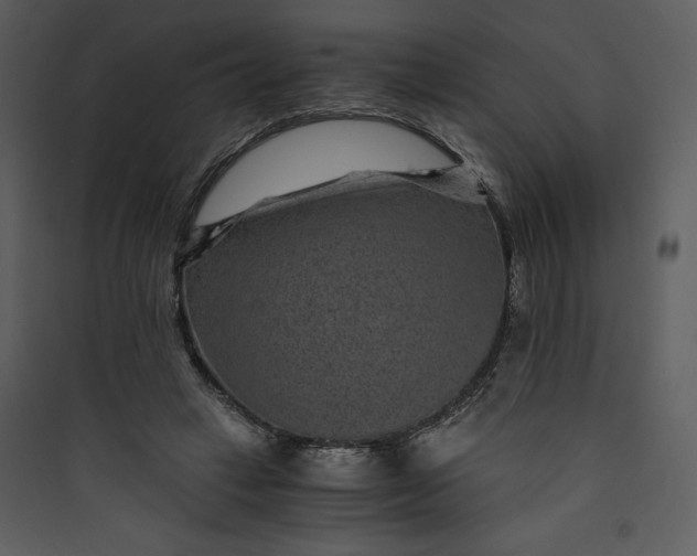 X0000089750449200707121345