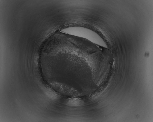 X0000089750451200707121345