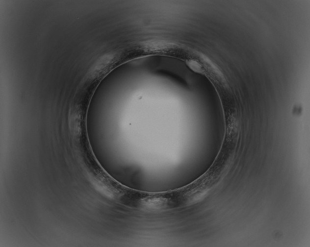 X0000089750452200707121345