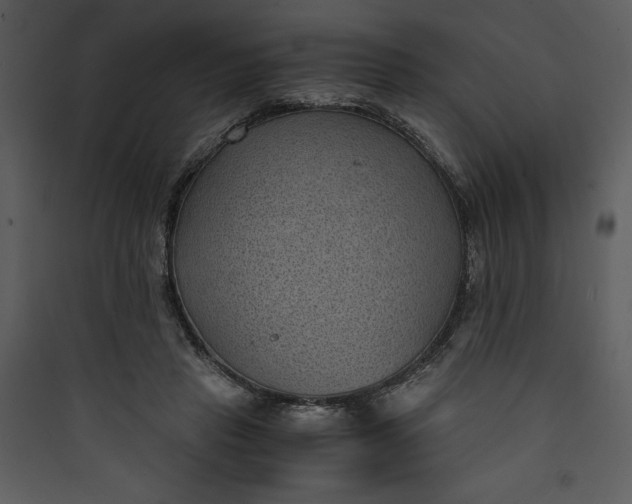 X0000089750453200707121345