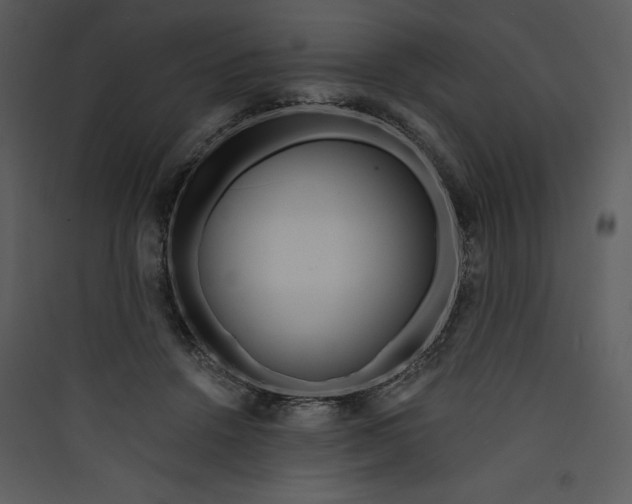 X0000089750456200707121345