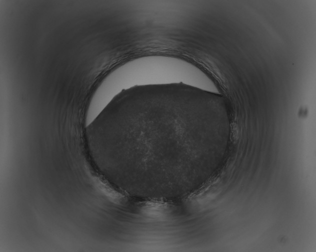 X0000089750458200707121345