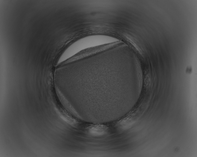 X0000089750459200707121345