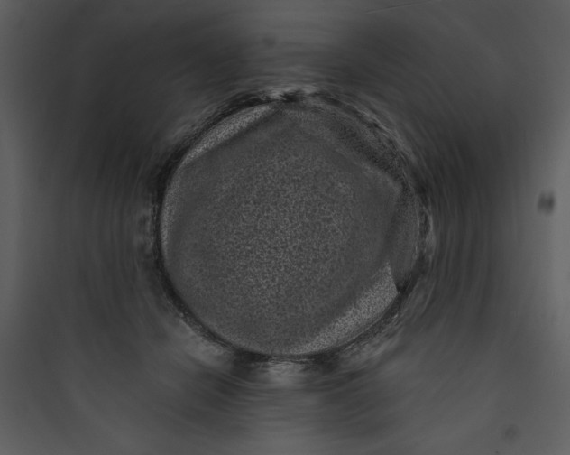 X0000089750462200707121345