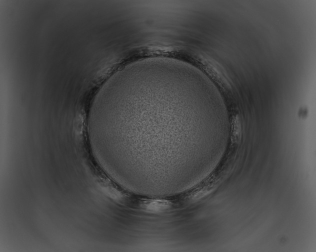 X0000089750463200707121345