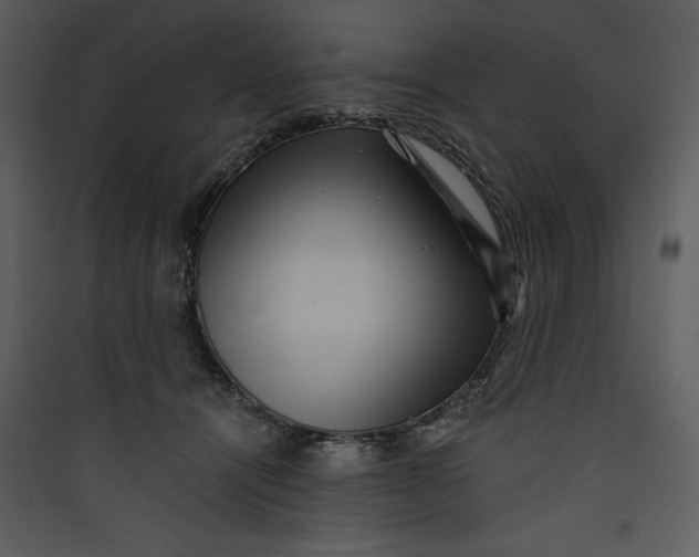 X0000089750464200707121345