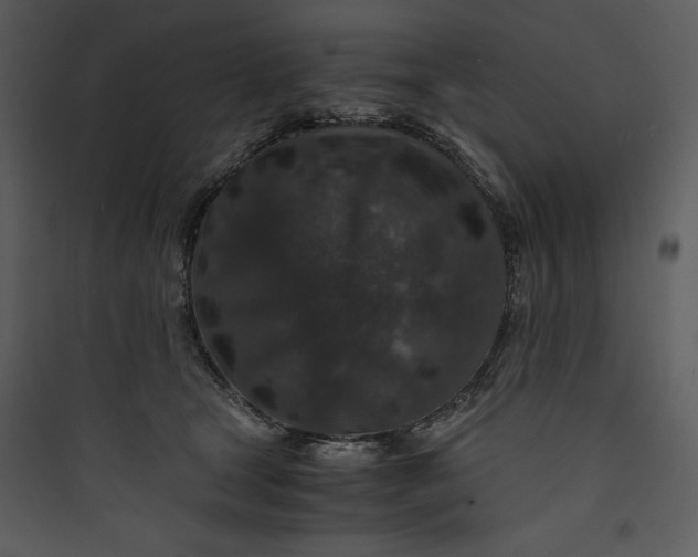 X0000089750465200707121345