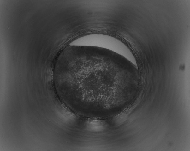 X0000089750467200707121345