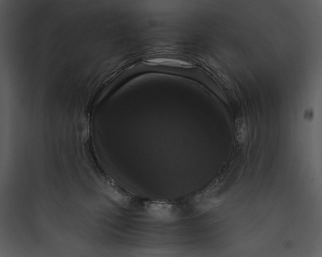 X0000089750471200707121345