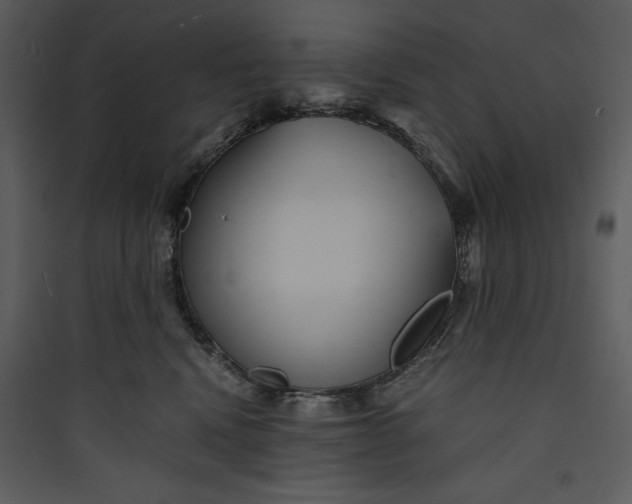 X0000089750472200707121345