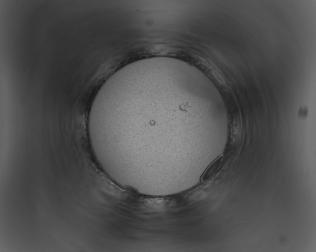 X0000089750473200707121345