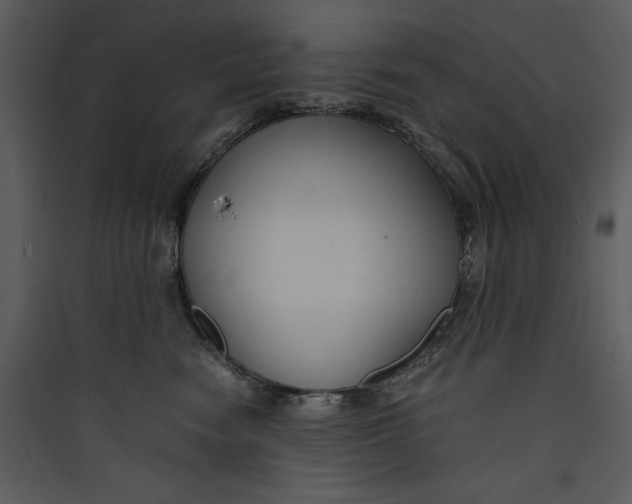 X0000089750474200707121345