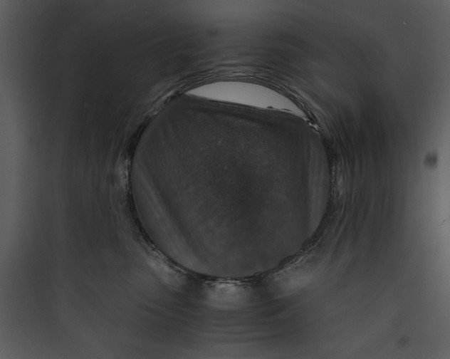 X0000089750475200707121345