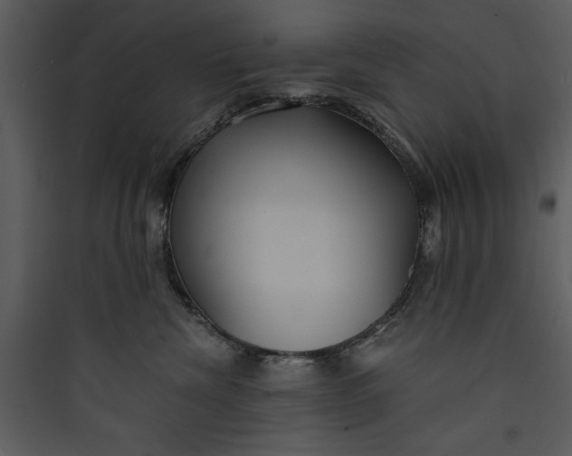 X0000089750476200707121345