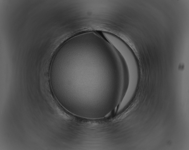 X0000089750481200707121344