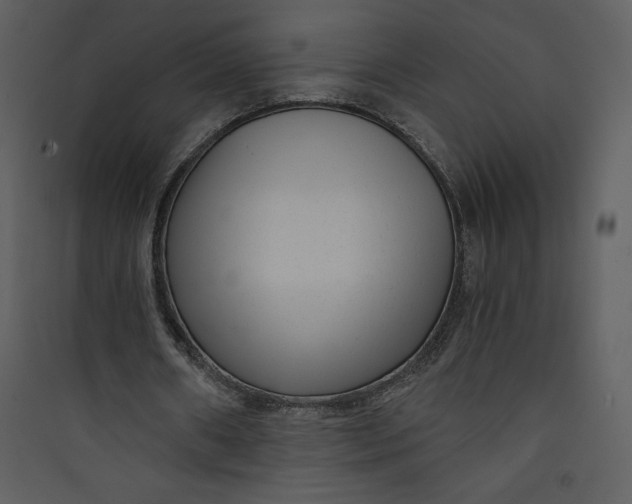 X0000089750482200707121344