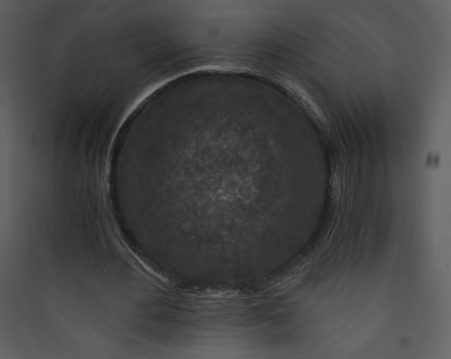 X0000089750484200707121344